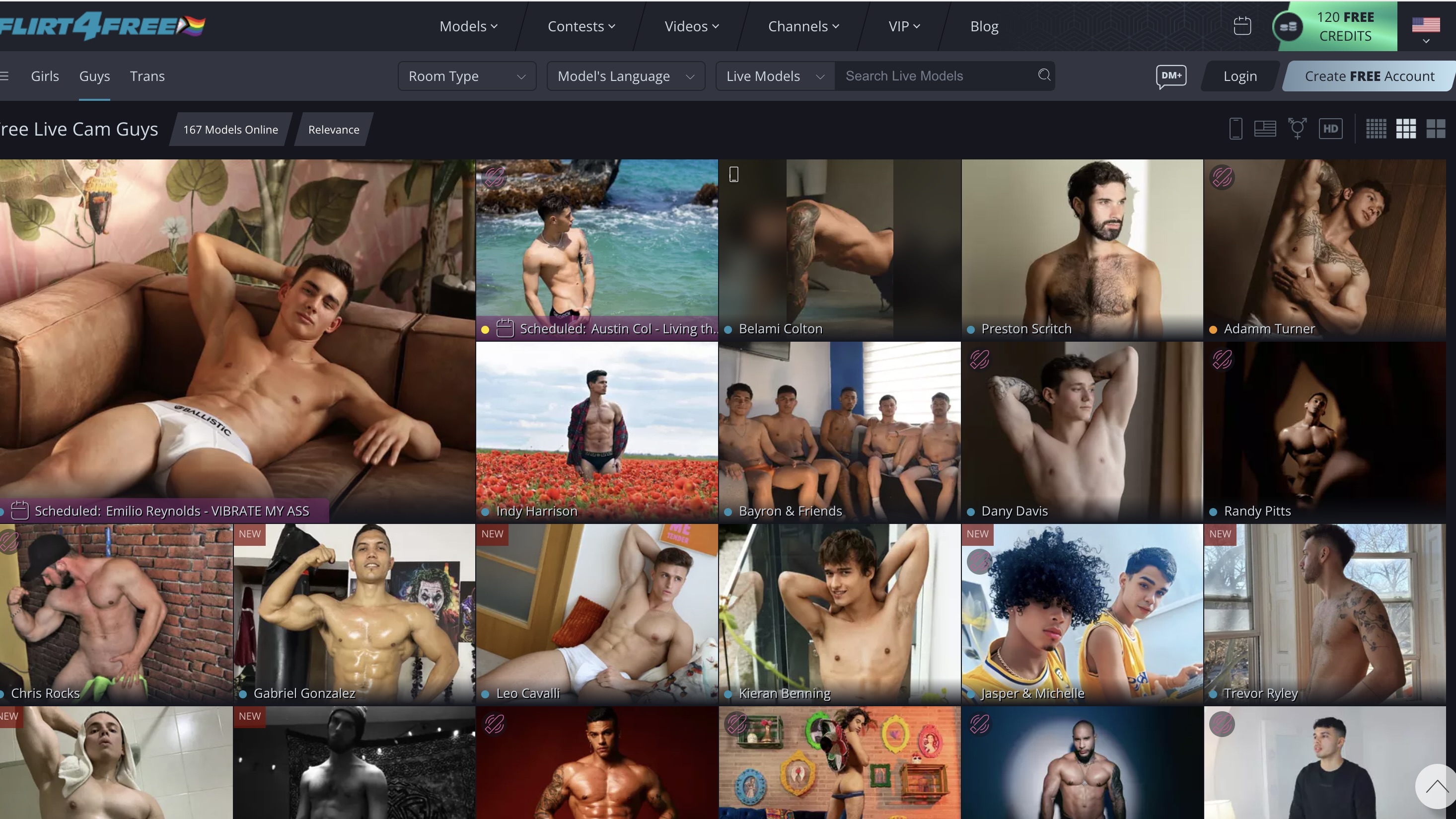 Pourquoi Regarder Flirt4Free ?